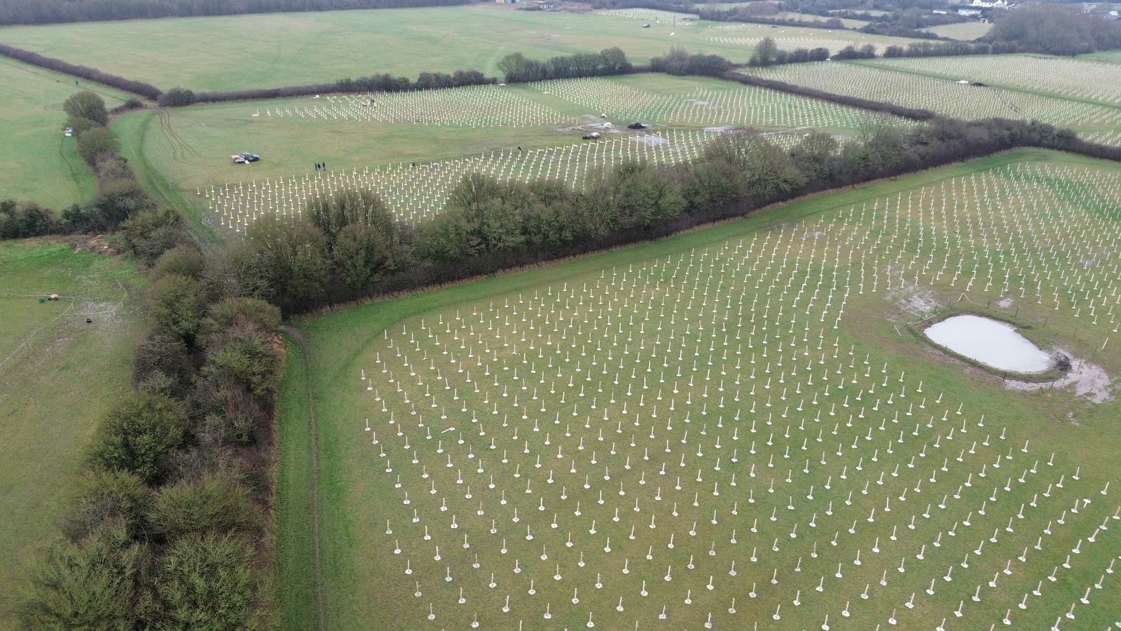 Aerial view of newly planted reforestation fields