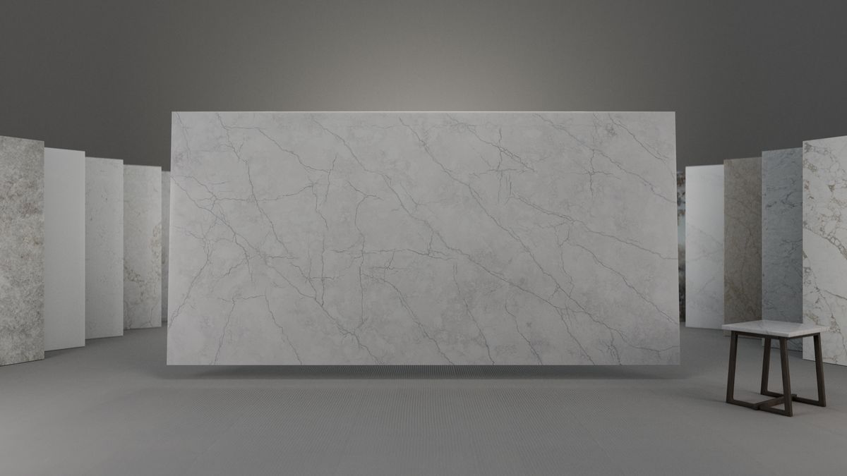Cool light grey with a fine web, Slab view 1, ZQ111112